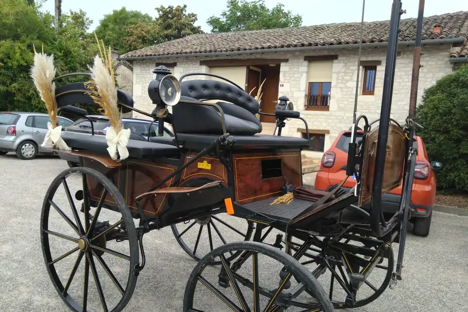 Tandem - Attelage en Quercy Blanc