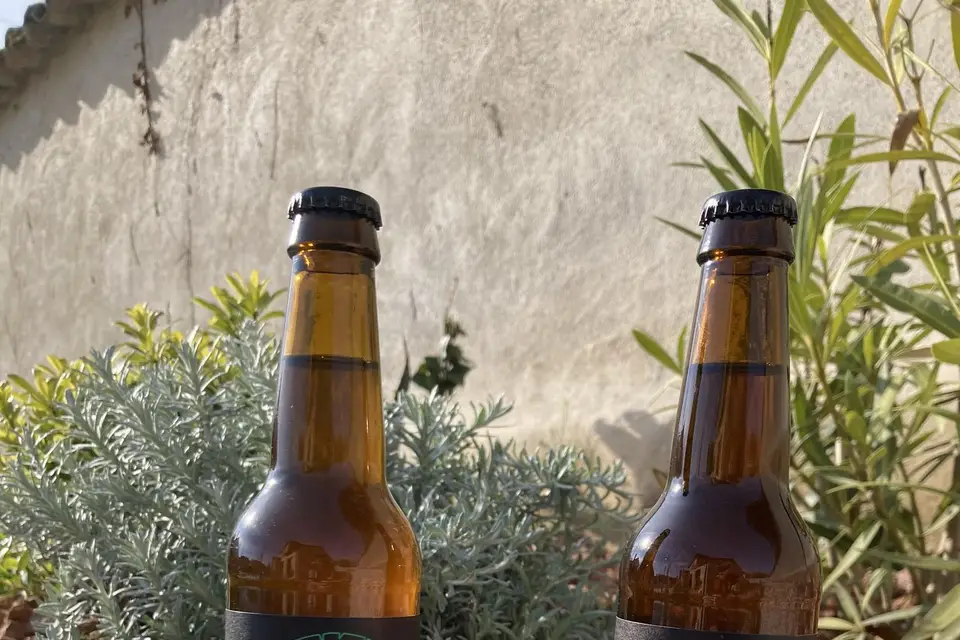 Bière Carnacus — photo 1