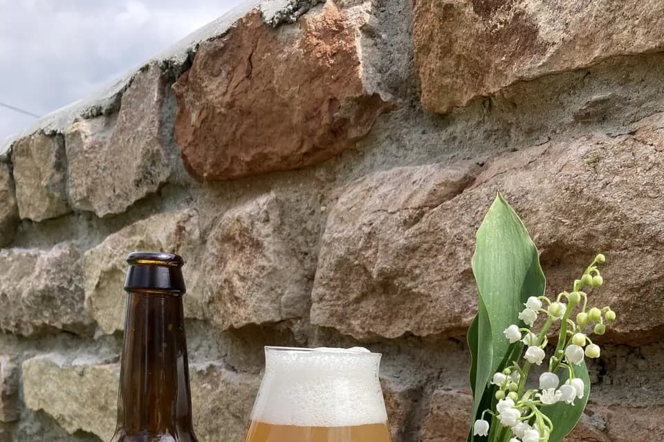 Bière Carnacus — photo 3