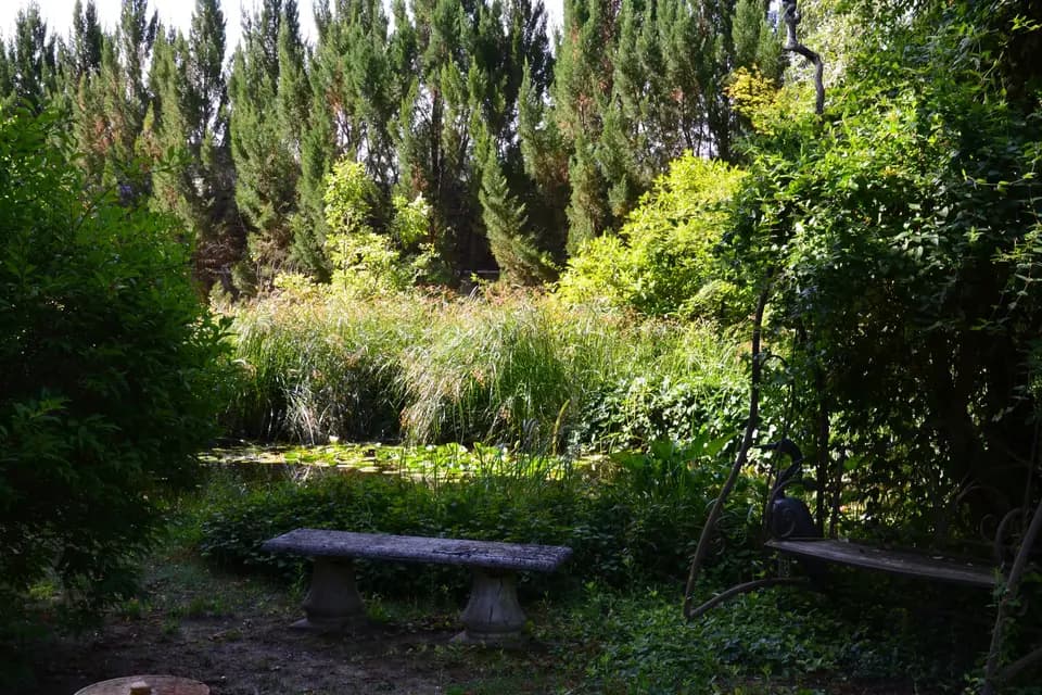 Le Vieux Donjon — photo 5