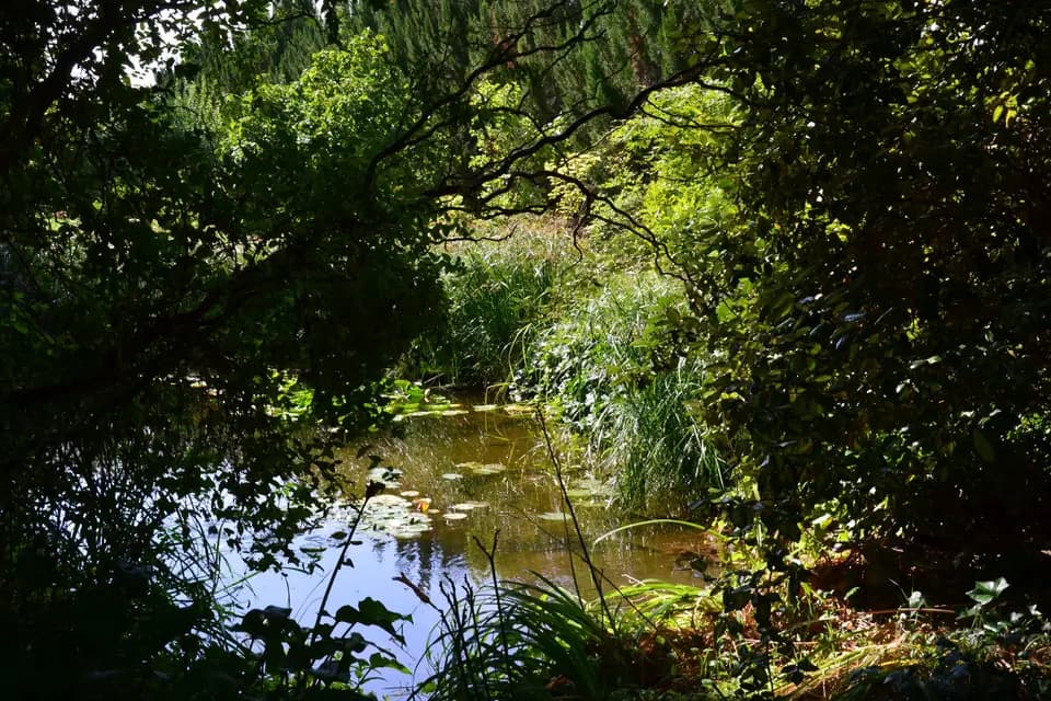 Le Vieux Donjon — photo 6