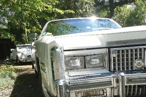 Jean Pierre Évènementiel — photo 7