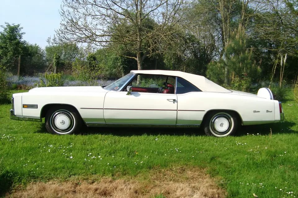 Jean Pierre Évènementiel — photo 1