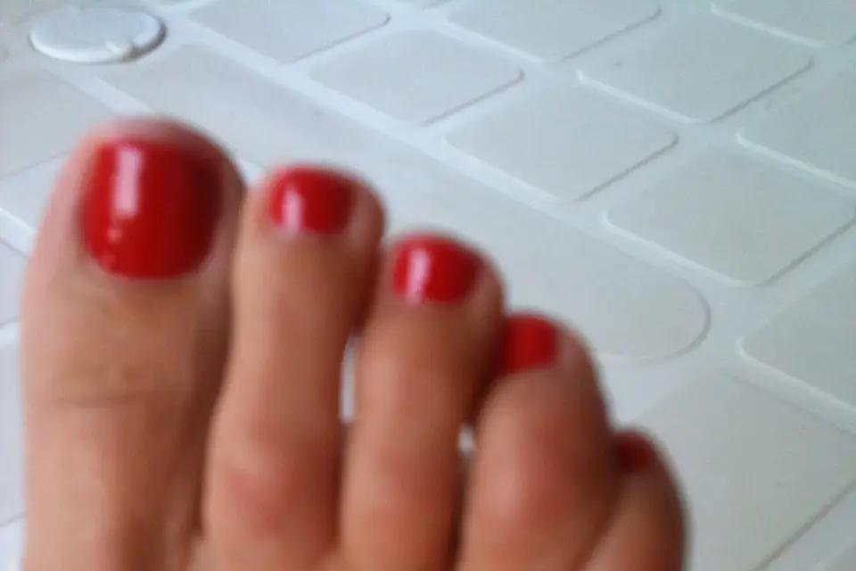 Harmony-K — photo 4