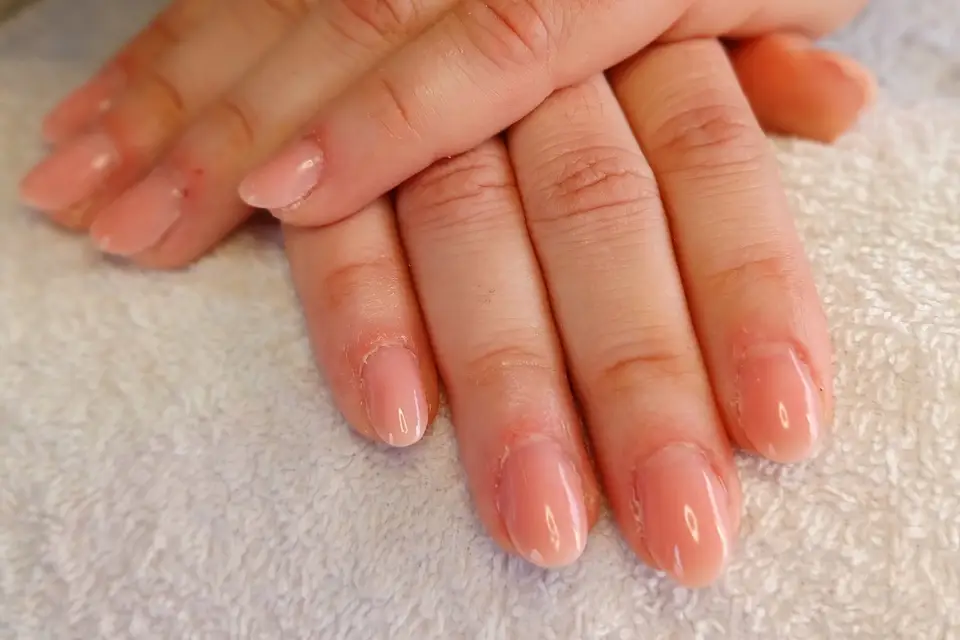 Les beautés de Savannah — photo 1