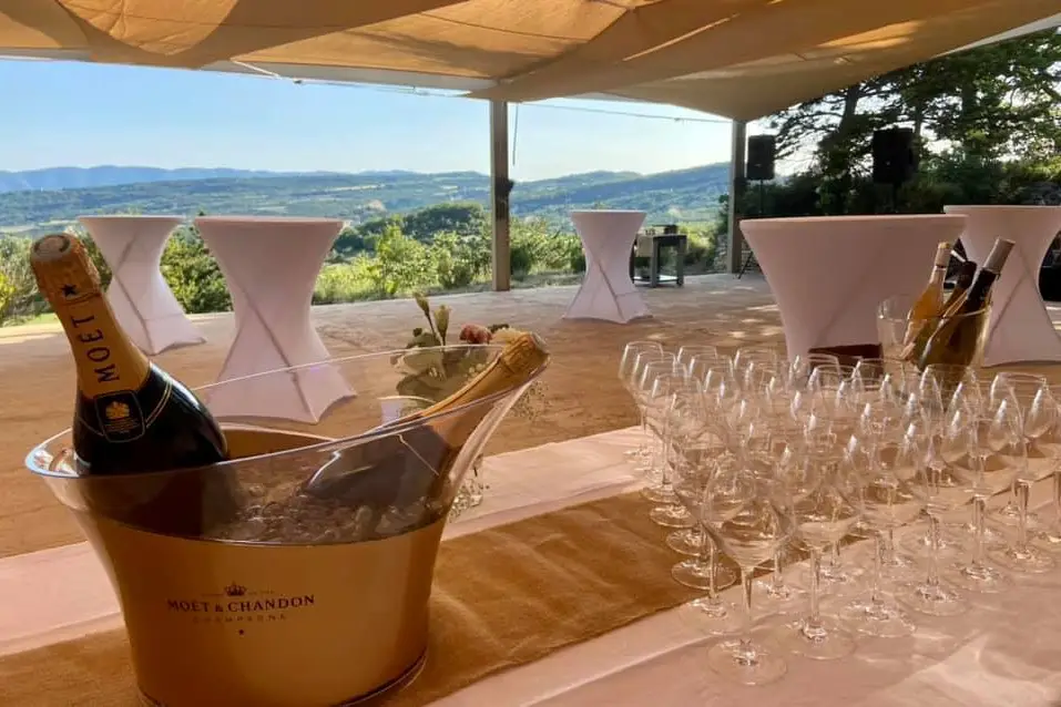 Duo Alison — photo 3