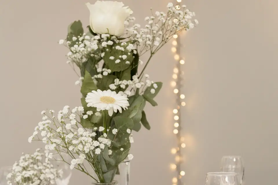 Declicadom — photo 8