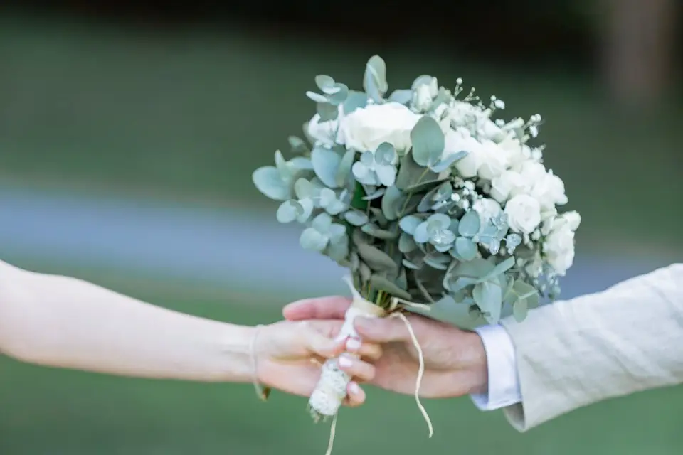 Declicadom — photo 6