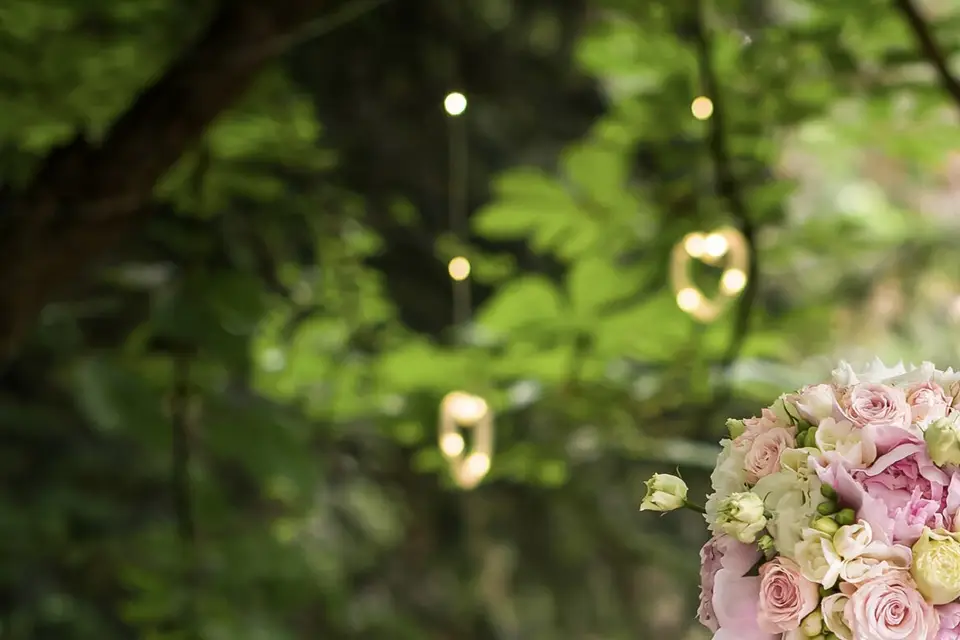 Did Event — photo 6