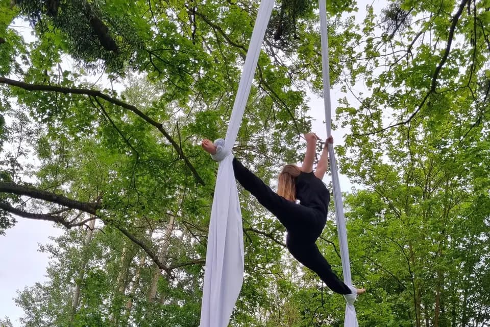 Ducorpsalart — photo 3