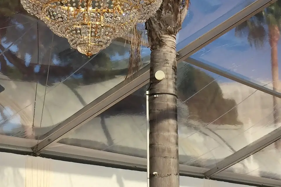 Crystal Lighting — photo 4