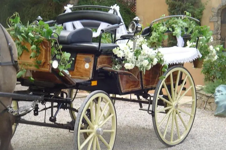 Les Calèches d'Annika — photo 1