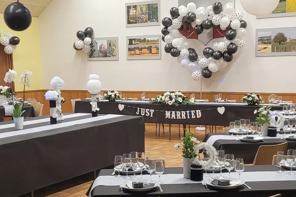 MJPS Sonorisation — photo 8