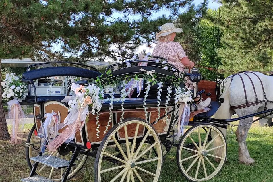 Les Calèches d'Annika — photo 7