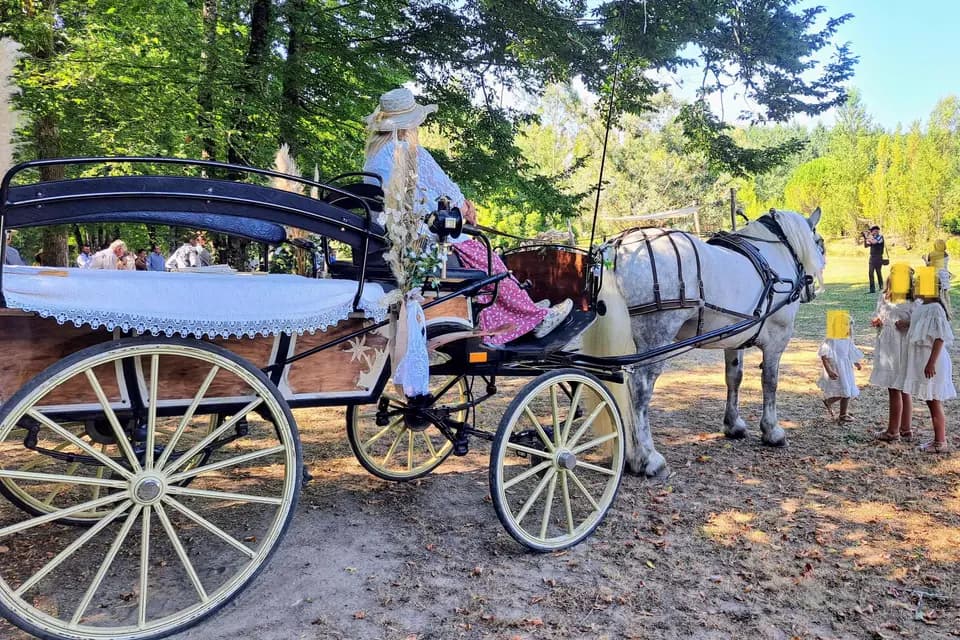 Les Calèches d'Annika — photo 8