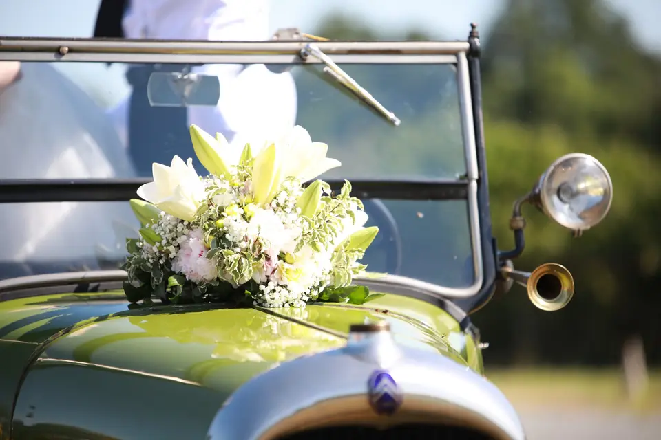 Madame Végétale — photo 8