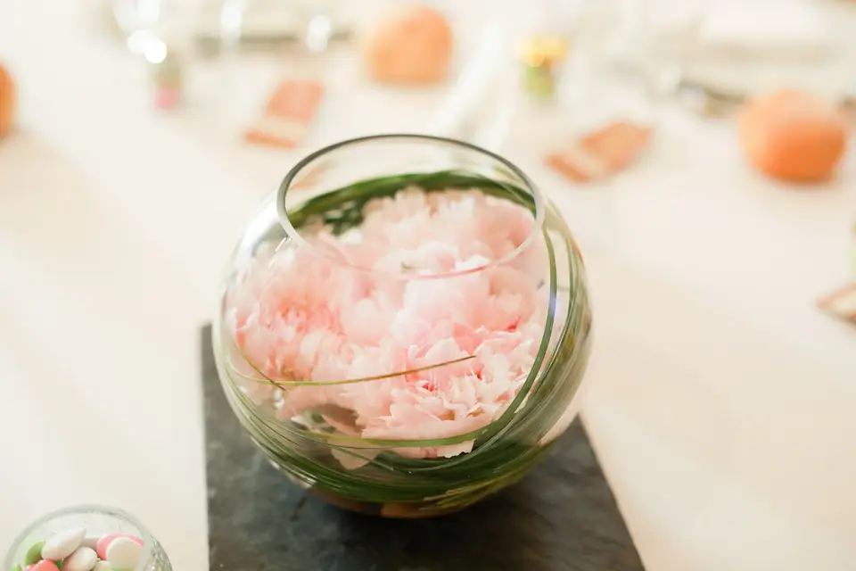 Madame Végétale — photo 5