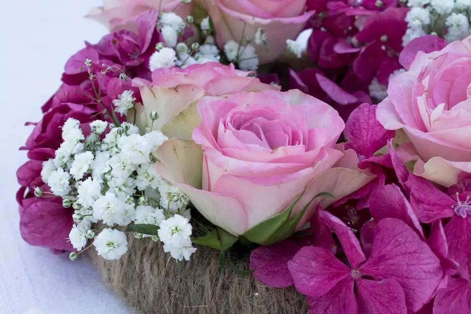 Madame Végétale — photo 6