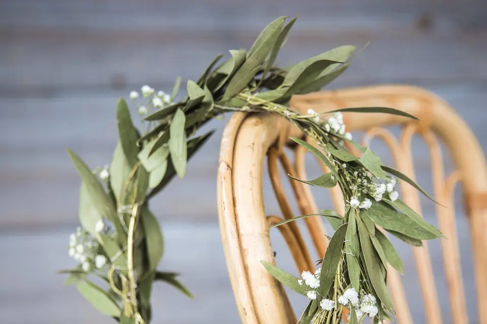 Madame Végétale — photo 7