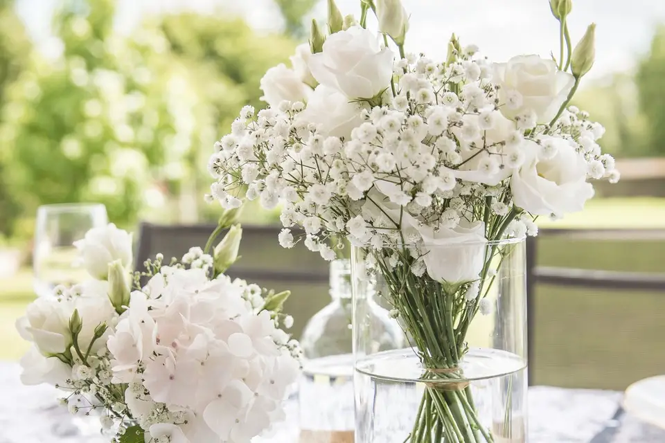 Madame Végétale — photo 2