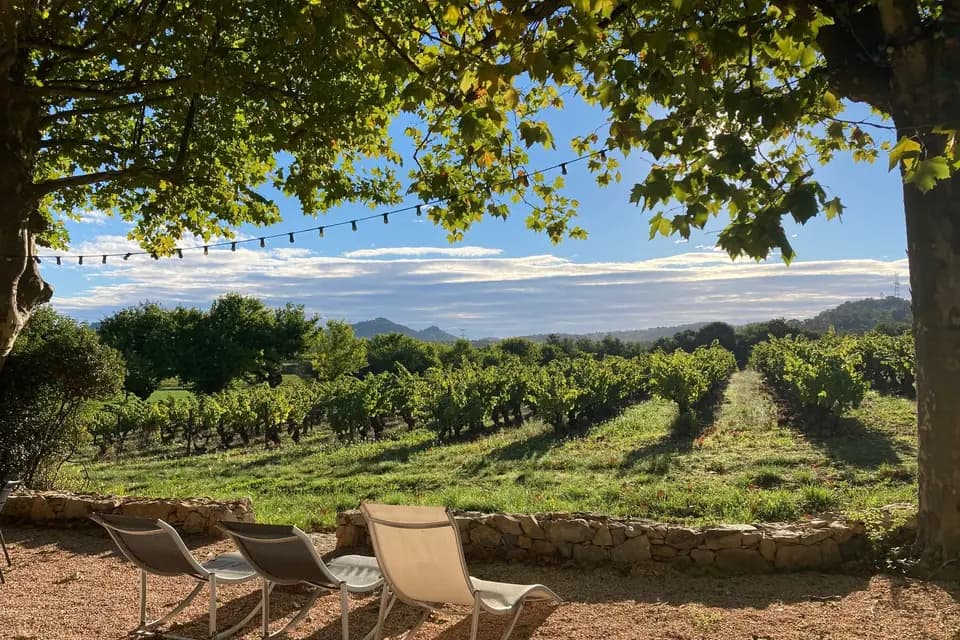 Château Trians — photo 5