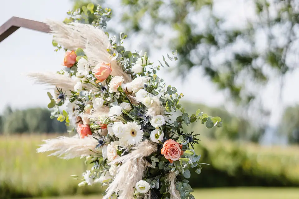 SOON Cérémonies — photo 7