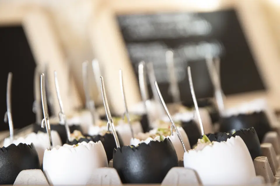 Fred n' So — photo 2