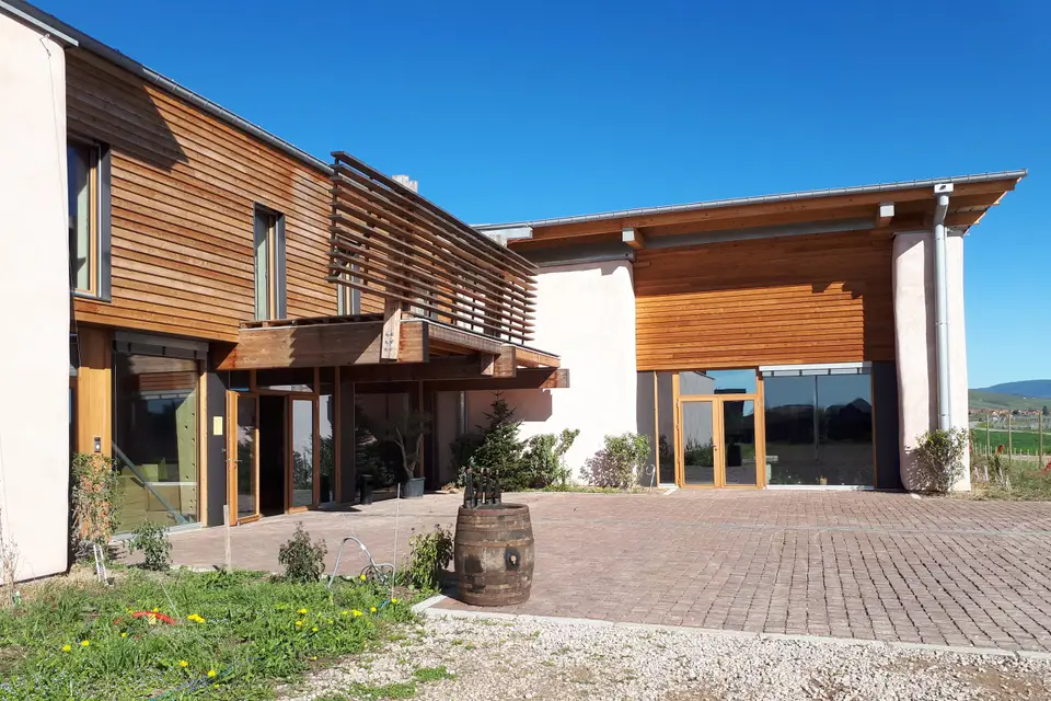 Achillée — photo 2