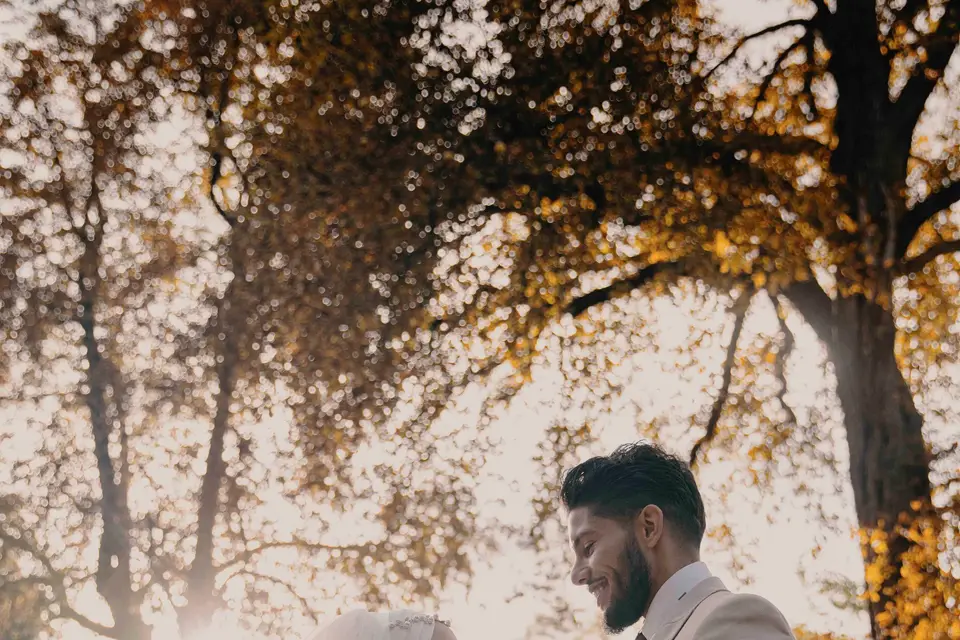 Dream Vidéo — photo 2