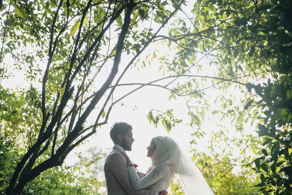 Dream Vidéo — photo 5