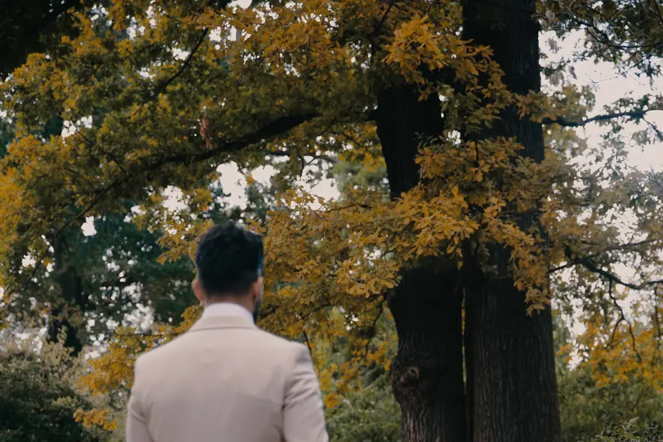 Dream Vidéo — photo 7