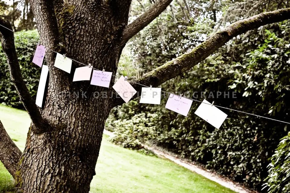 Pink Objectif Photographe — photo 7