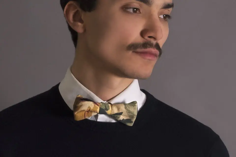 Maison Voliaire — photo 4