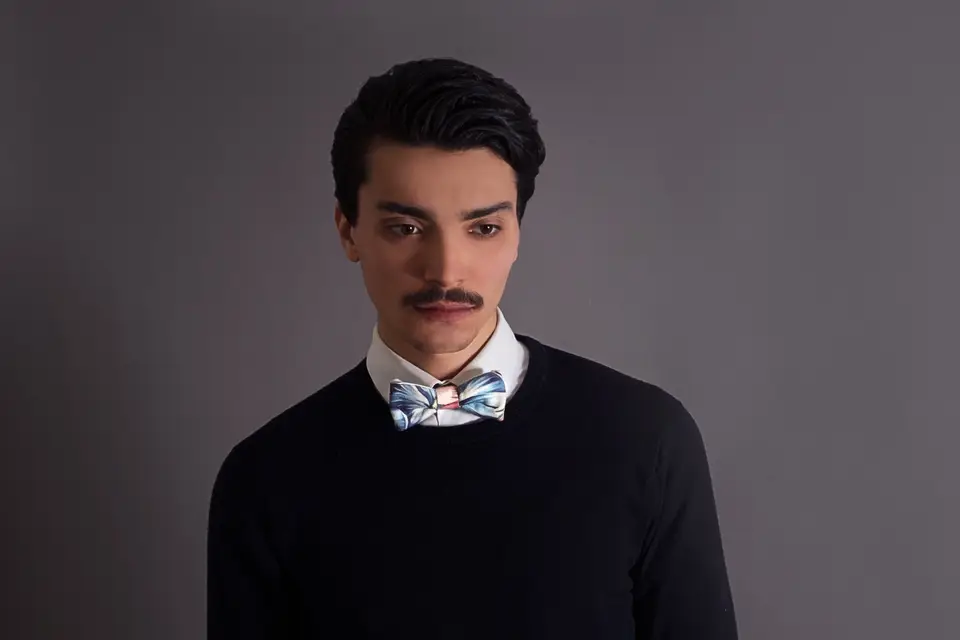 Maison Voliaire — photo 6