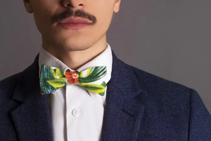 Maison Voliaire — photo 1