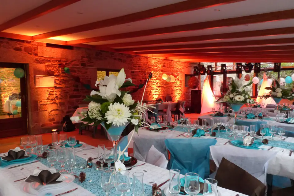 Birdy-J Animation — photo 5