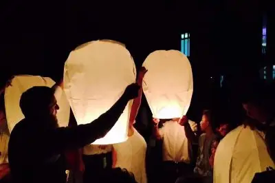 Simon Animation — photo 7