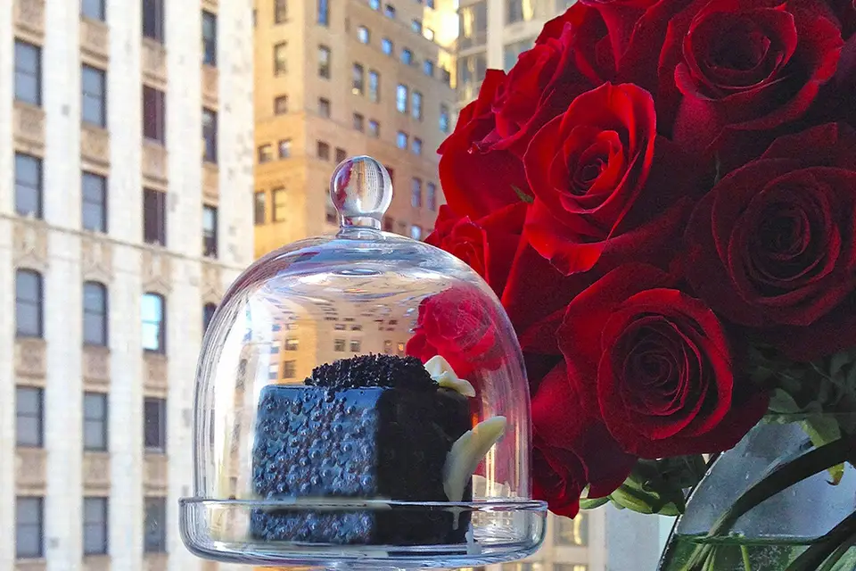 Le Castor Pictures — photo 3