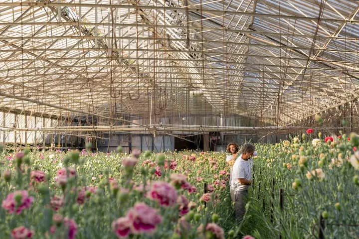 Fleurette — photo 1