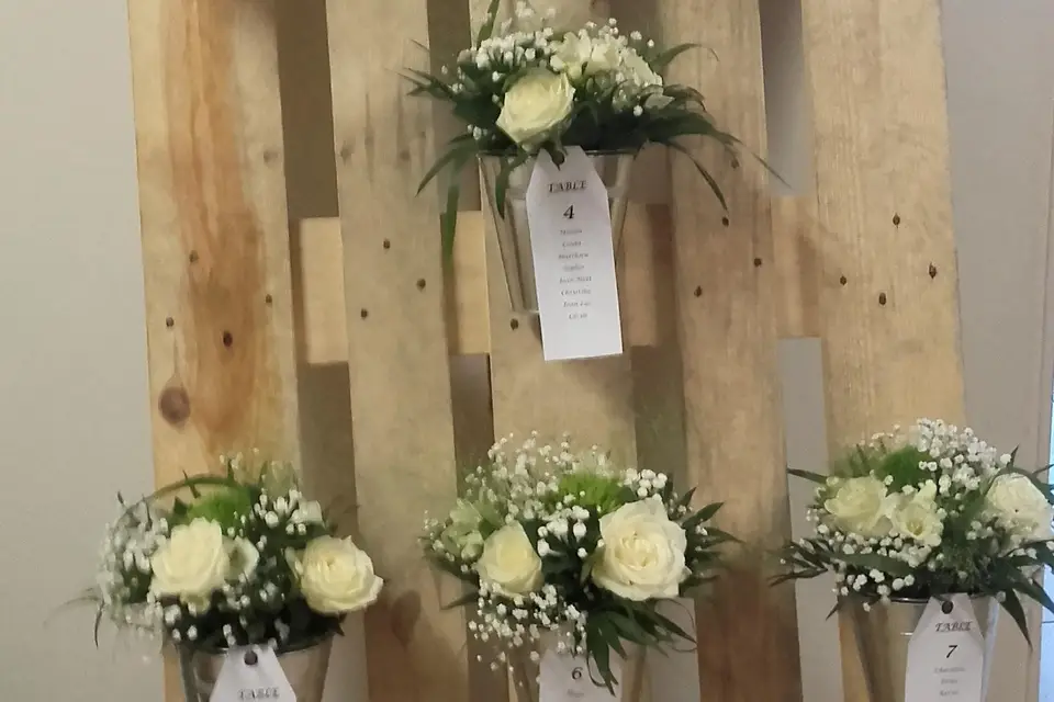 Soleil Cauchois — photo 8