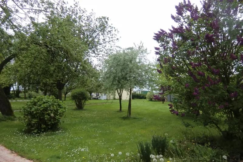 Soleil Cauchois — photo 4