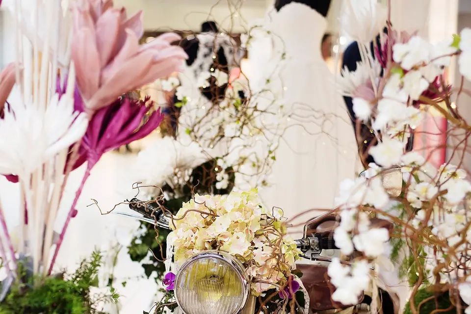 Le Jardin De Colette — photo 2