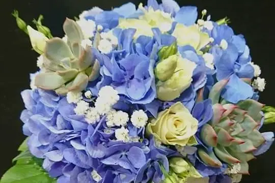 Le Jardin De Colette — photo 7