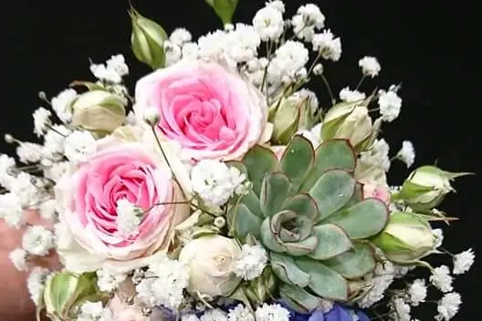 Le Jardin De Colette — photo 6