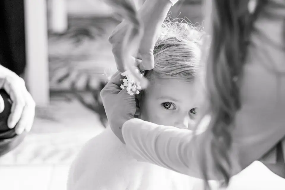 Studiris — photo 1