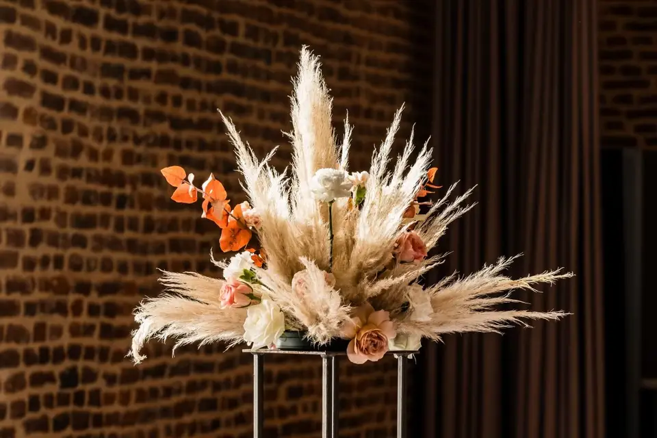 Gipsovage — photo 3