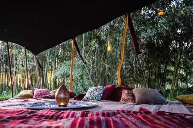 Carpas Chibani — photo 5