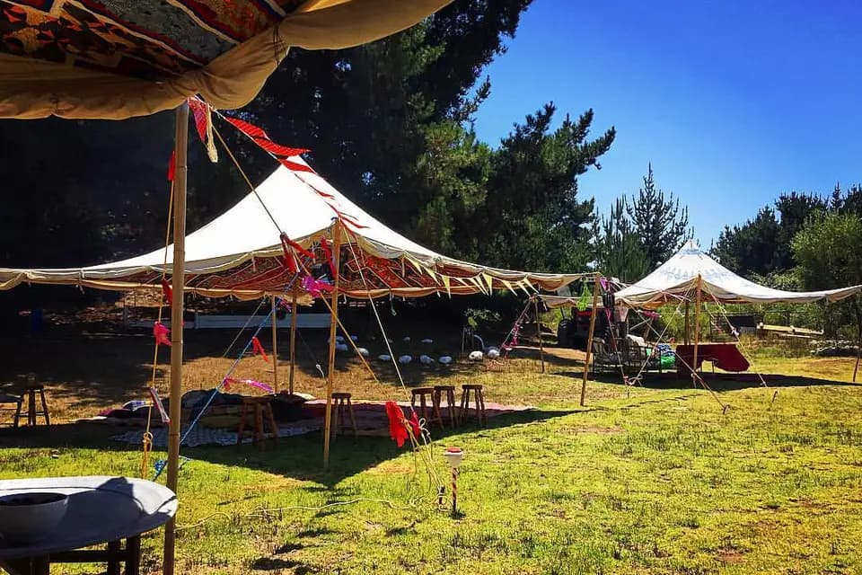 Carpas Chibani — photo 6