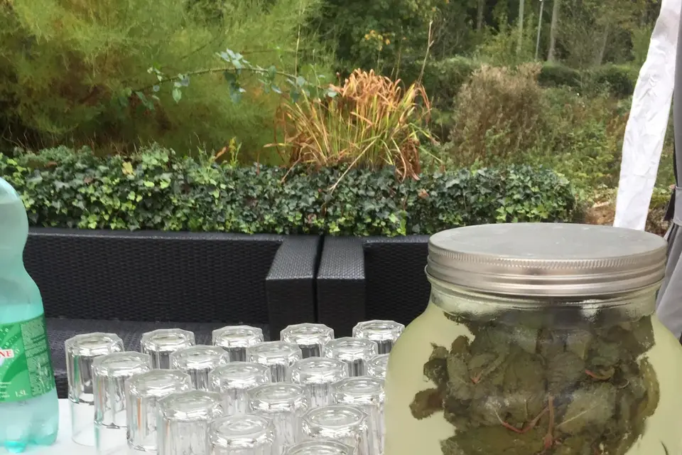 123 Soirées — photo 4