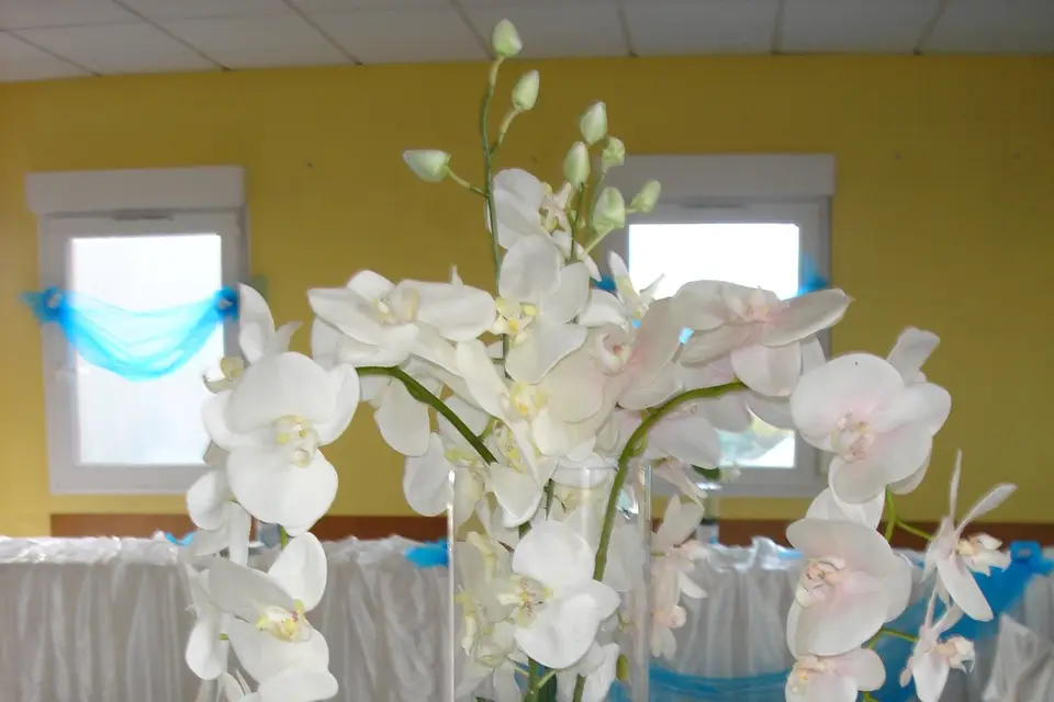 Les Centres de Table — photo 5